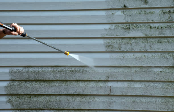 Best Fence Cleaning  in Del Mar, CA
